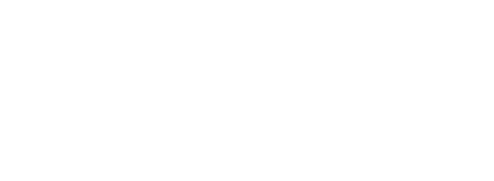 Fly-Cargo - Operador de logística, transporte y aduanas a nivel mundial